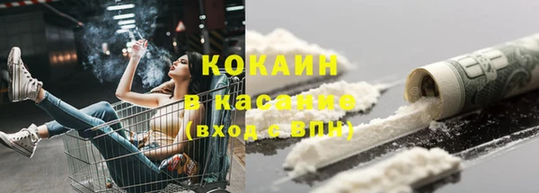 стаф Вяземский