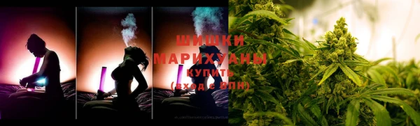 стаф Вяземский