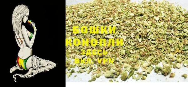 стаф Вяземский