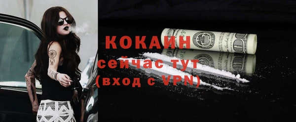 стаф Вяземский