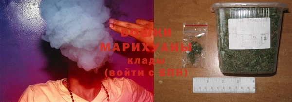 стаф Вяземский