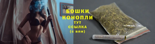 стаф Вяземский