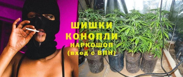 стаф Вяземский