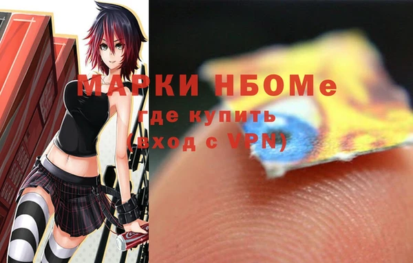стаф Вяземский