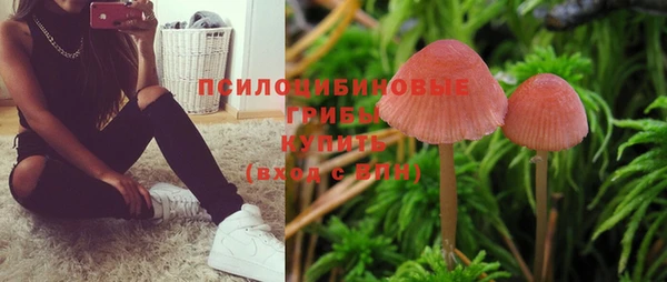 мяу мяу мука Вязники